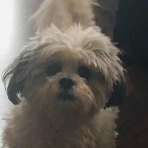 Meet your Posher, Vicki